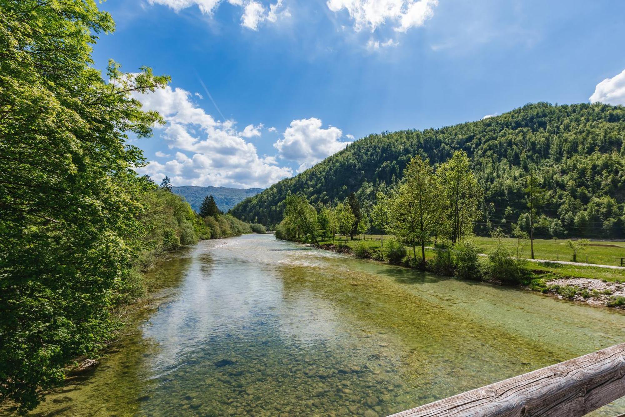 فيلا Domacija Log V Bohinju بوهينيسكا بيستريكا المظهر الخارجي الصورة