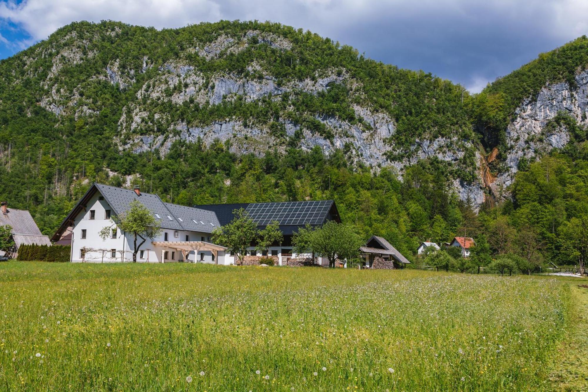 فيلا Domacija Log V Bohinju بوهينيسكا بيستريكا المظهر الخارجي الصورة