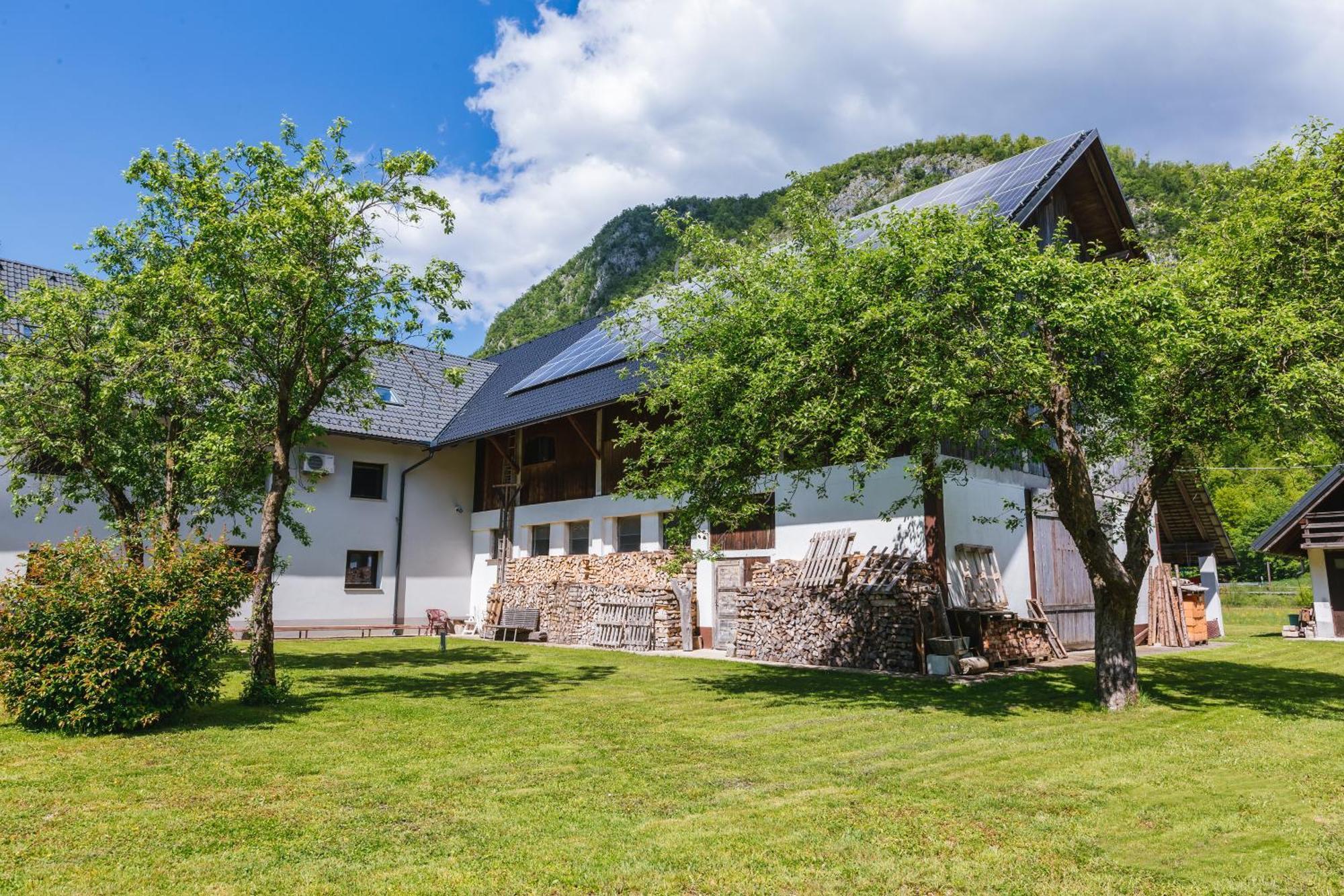 فيلا Domacija Log V Bohinju بوهينيسكا بيستريكا المظهر الخارجي الصورة
