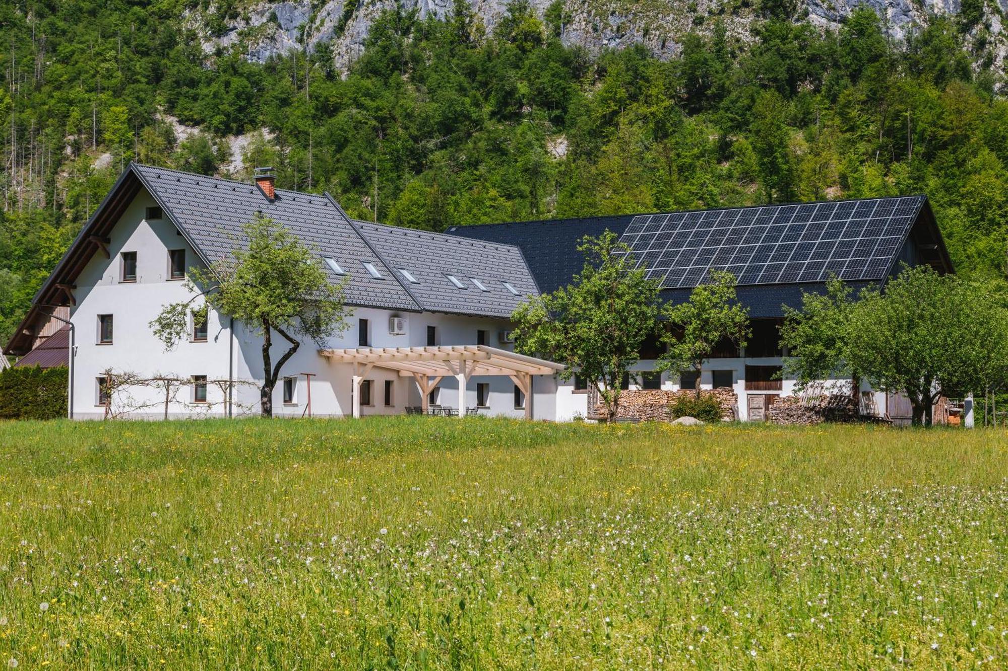 فيلا Domacija Log V Bohinju بوهينيسكا بيستريكا المظهر الخارجي الصورة